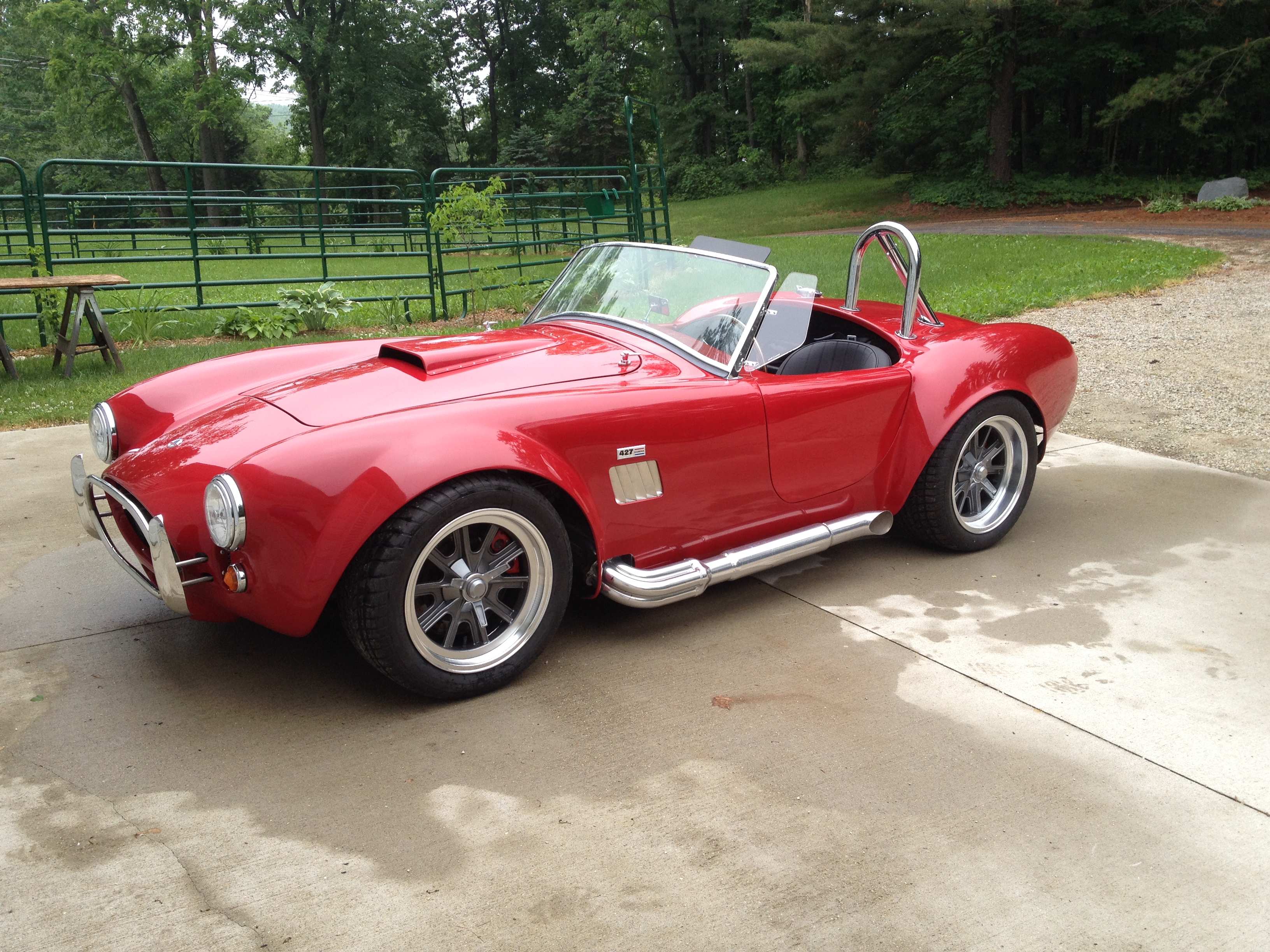 cobra at shop